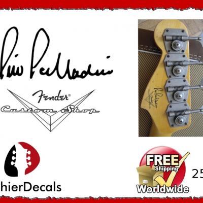 258b Pino Palladino Custom Shop Guitar Decal