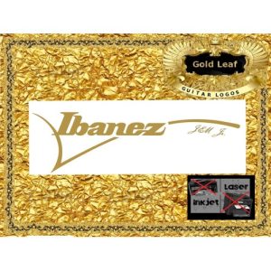 Ibanez Jem Jr. Guitar Decal #125g