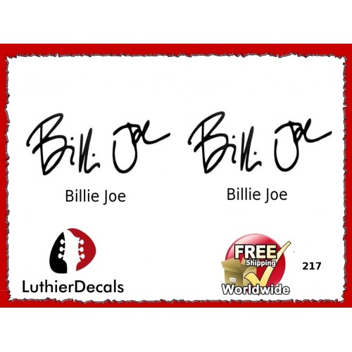 Guitar Players Billie Joe Signature Guitar Decal 217