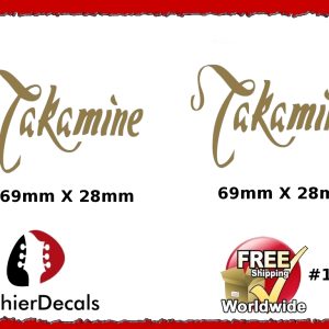 Takamine Guitar Decal Copy #147