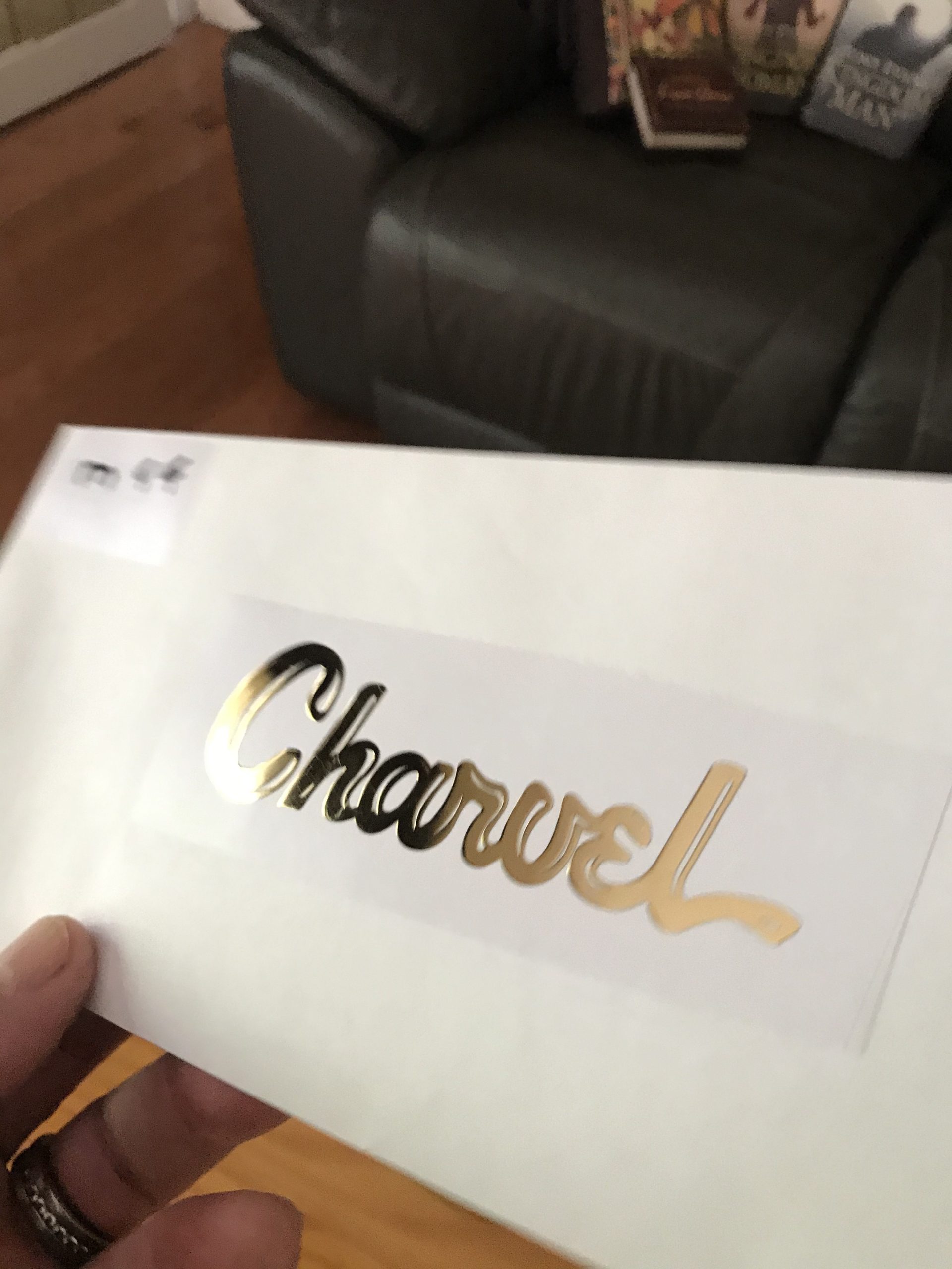 Charvel Guitar Decal 3D laser Cut metal M44 - Image 9