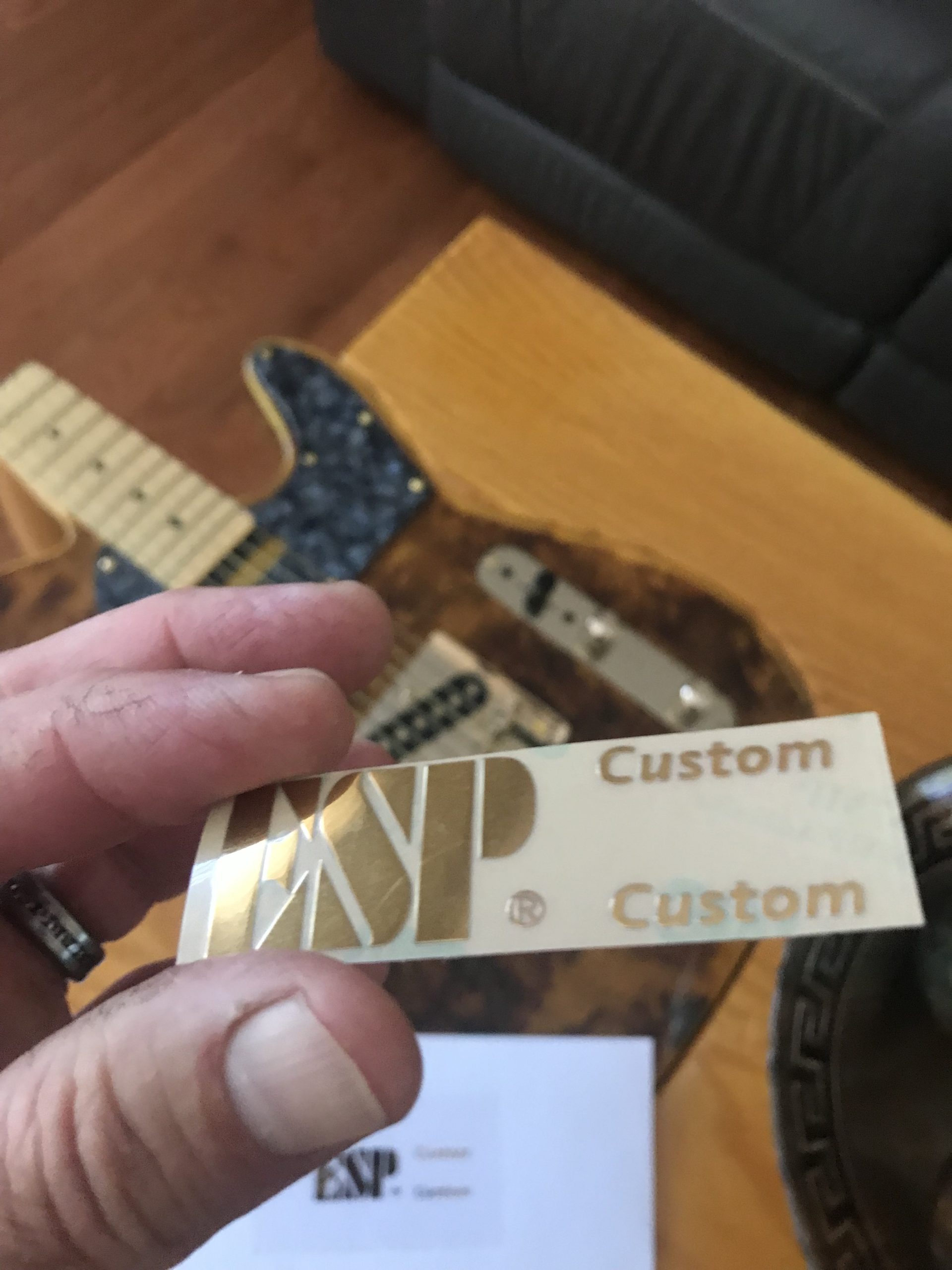 ESP Guitar Decal m86 - Image 3