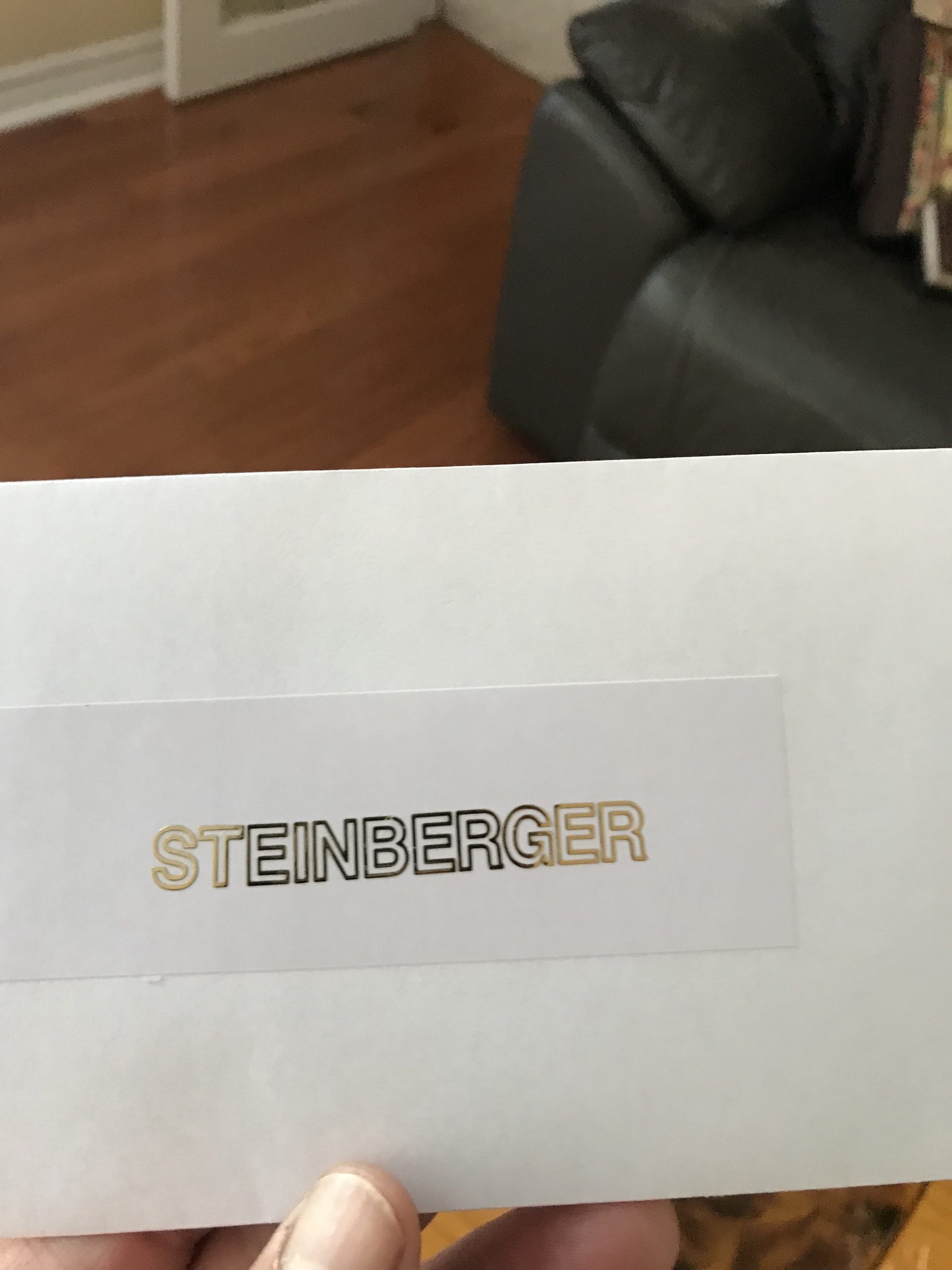 Steinberger guitar decals M83 - Image 2