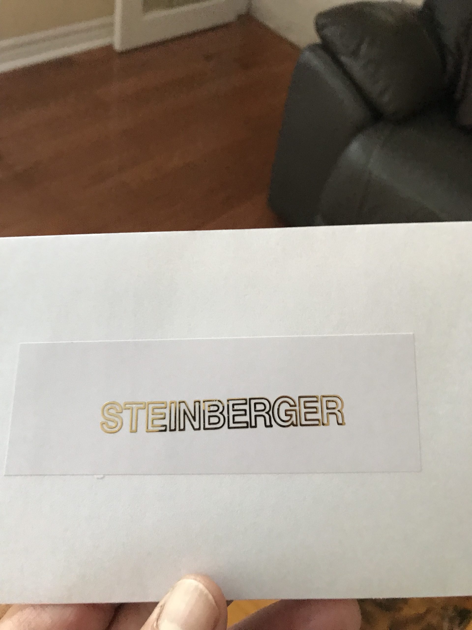 Steinberger guitar decals M83 - Image 3
