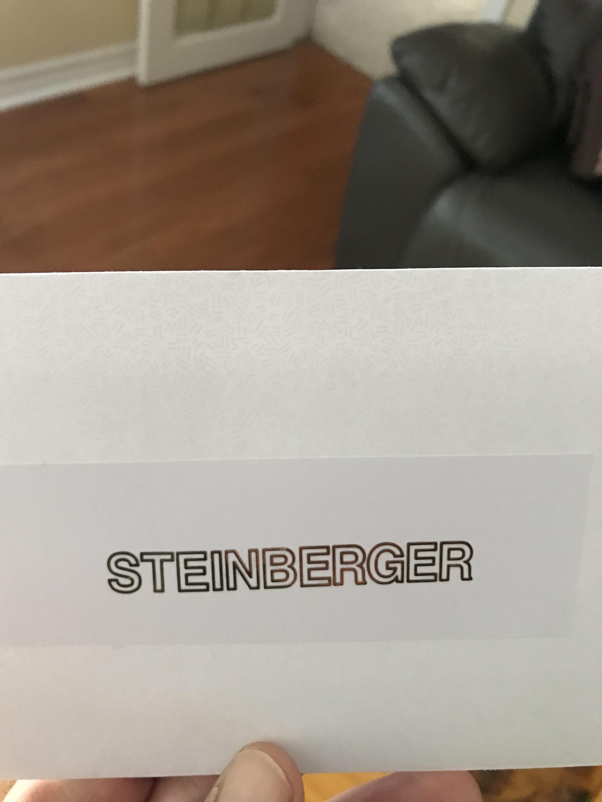 Steinberger guitar decals M83 - Image 6