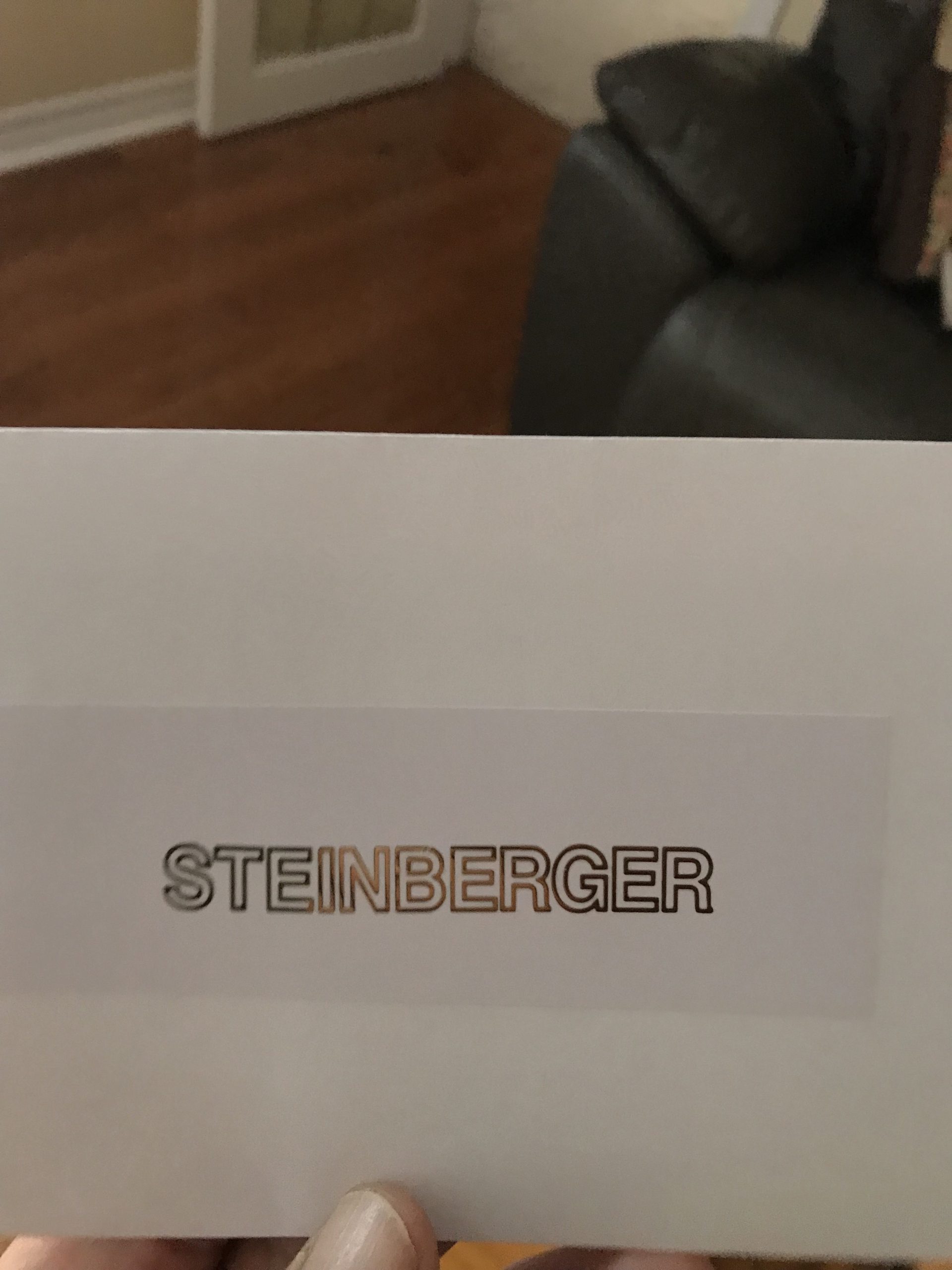 Steinberger guitar decals M83 - Image 7