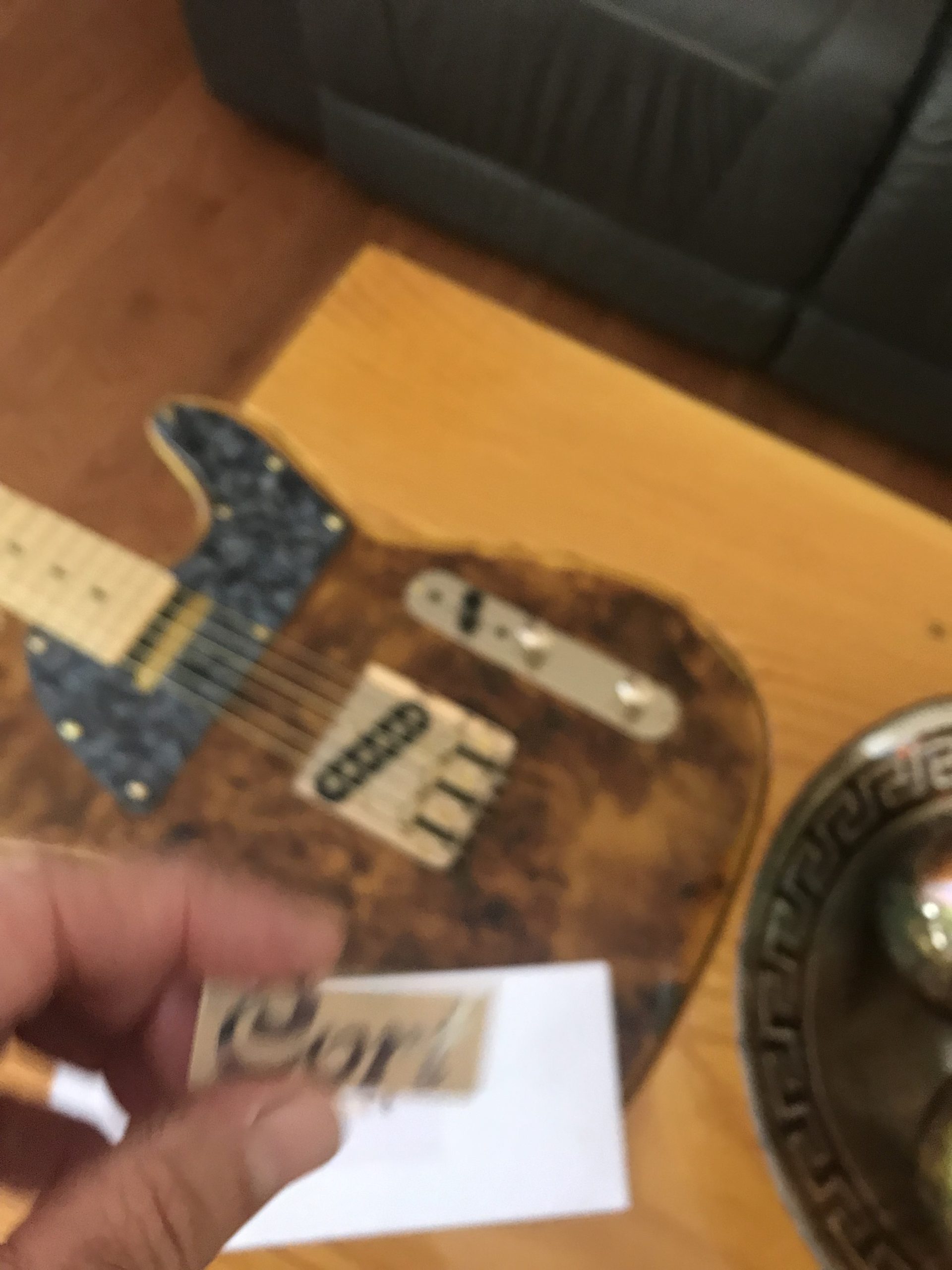 Cort Guitar Decal M51b - Image 7