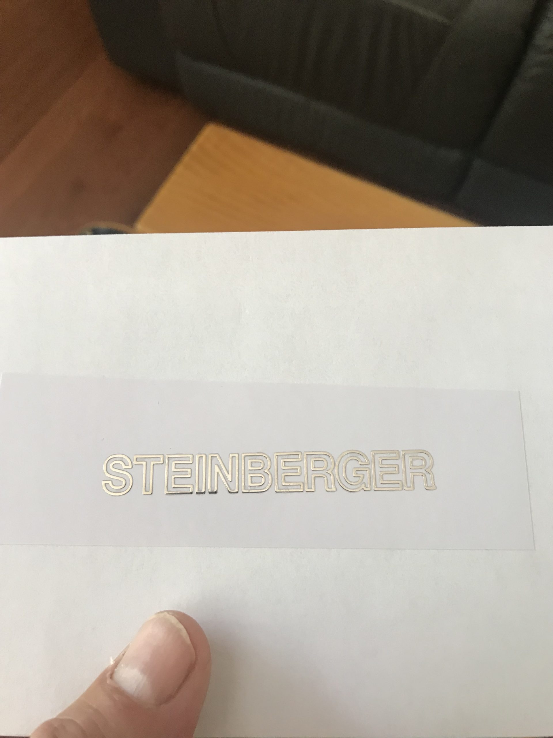 Steinberger guitar decals M69b - Image 2