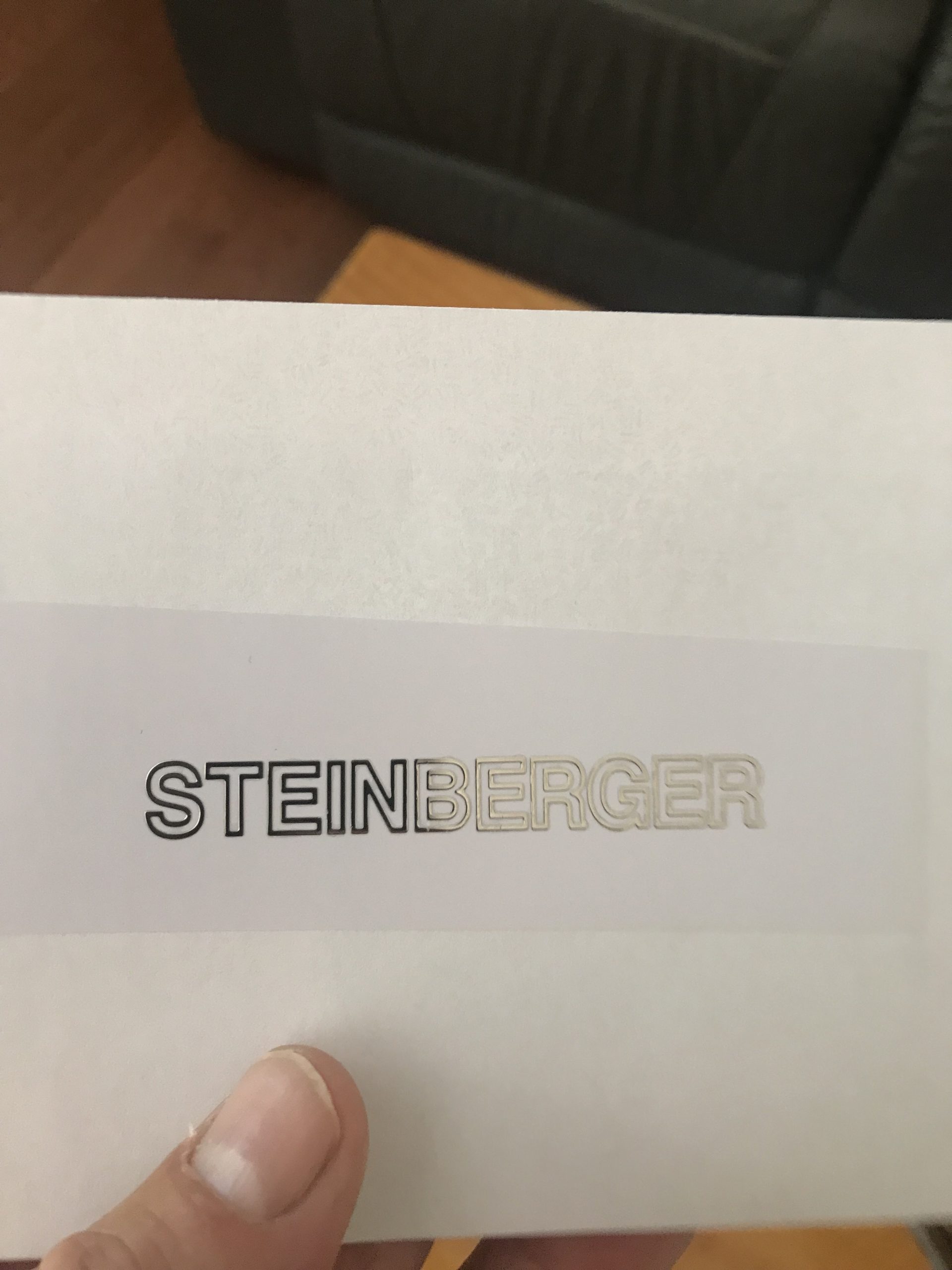 Steinberger guitar decals M69b - Image 3