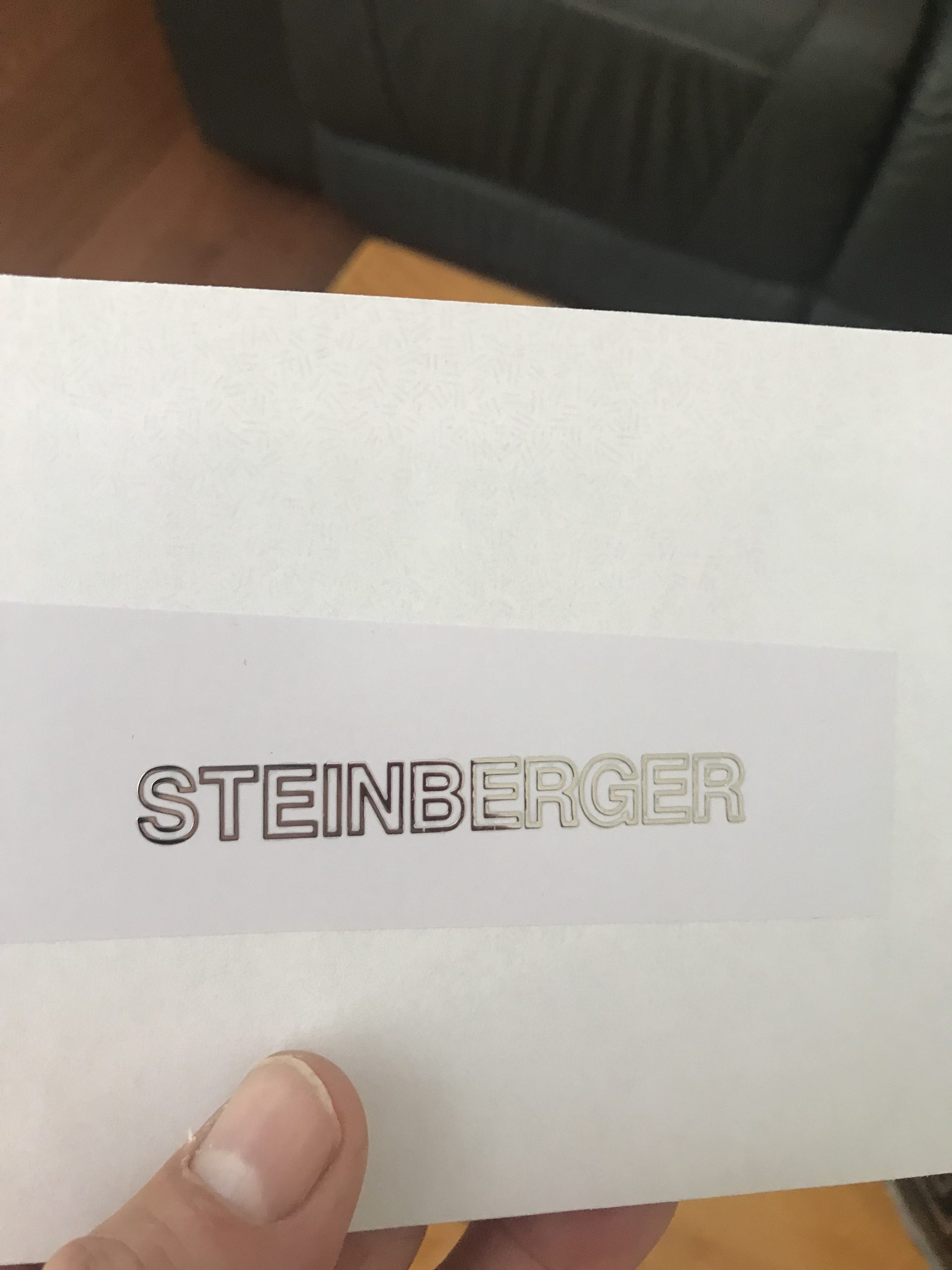 Steinberger guitar decals M69b - Image 6