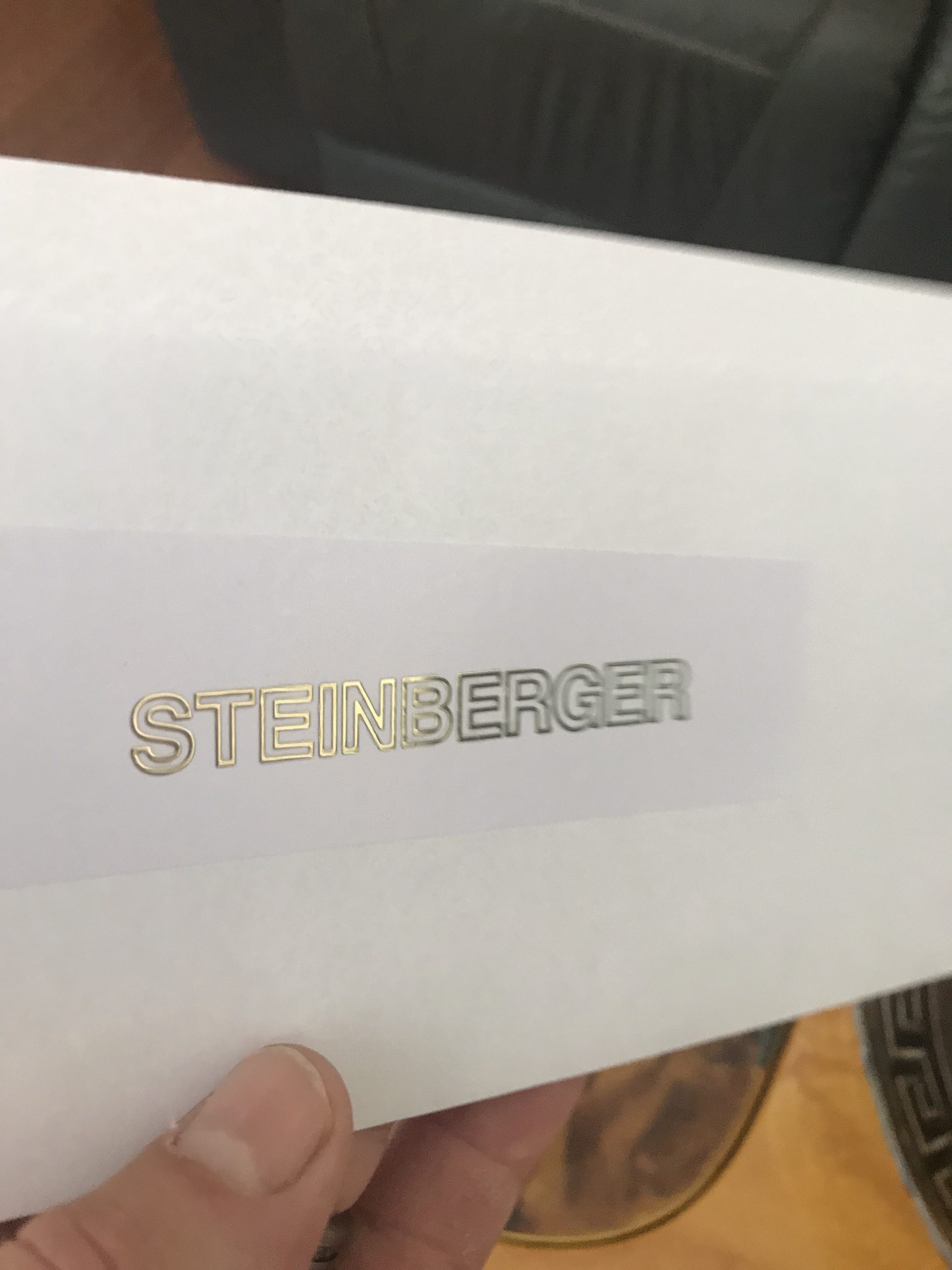 Steinberger guitar decals M69b - Image 8