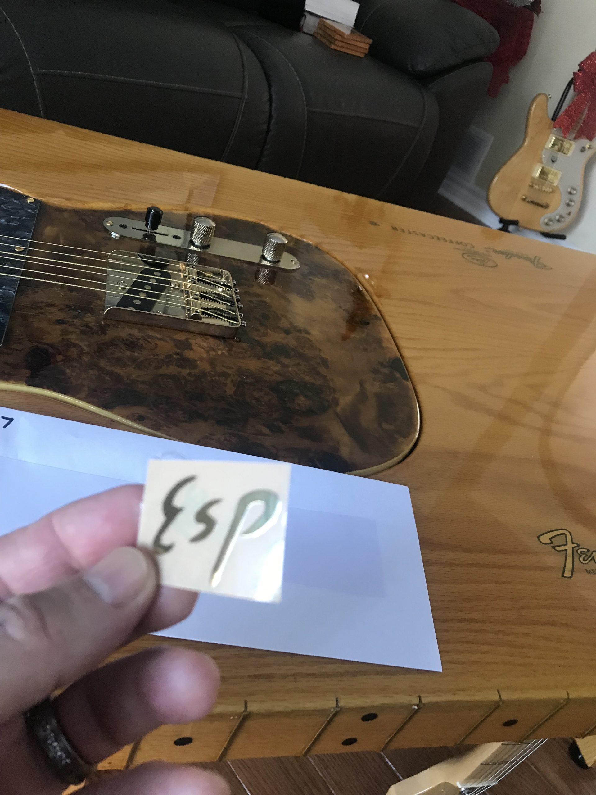 ESP Guitar Decal m97 - Image 2